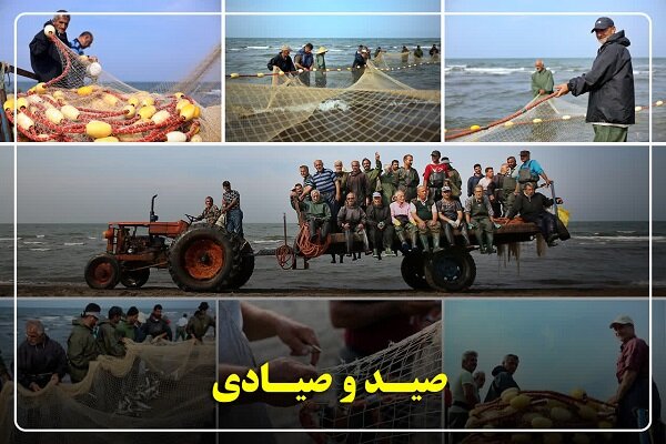 صید ماهیان استخوانی در گیلان